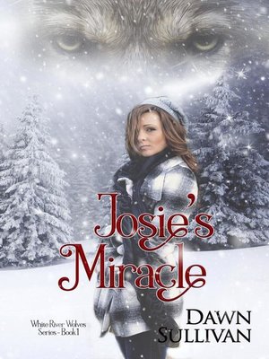 Josie's Miracle - ebook